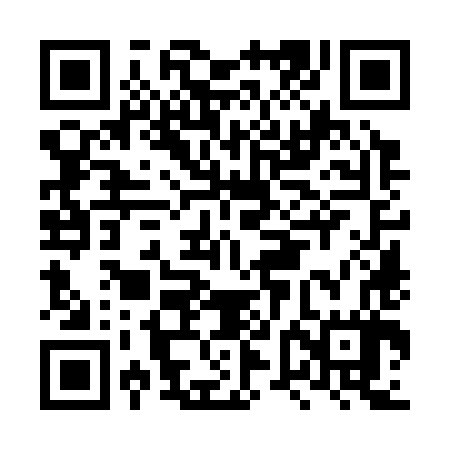 QR code for LVO387