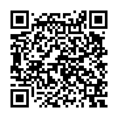 QR code for LVO400