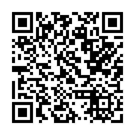 QR code for LVO479