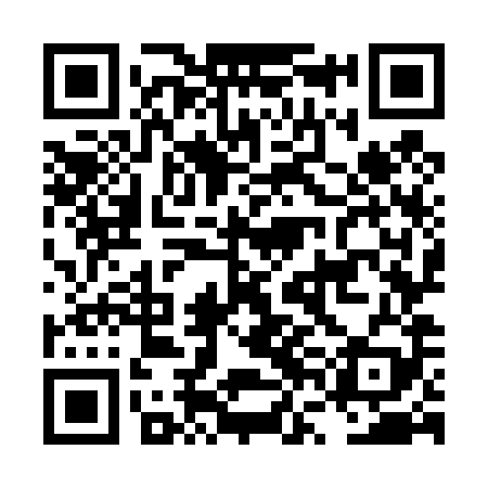 QR code for LVO489