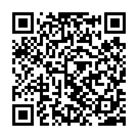 QR code for LVO691