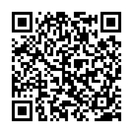 QR code for LVO777