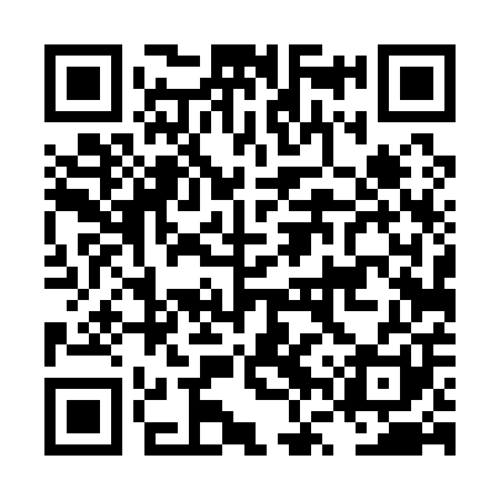 QR code for LVT101