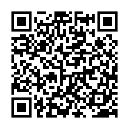 QR code for LVT161