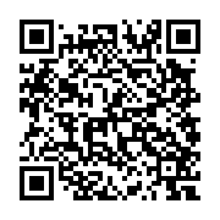 QR code for LVV006