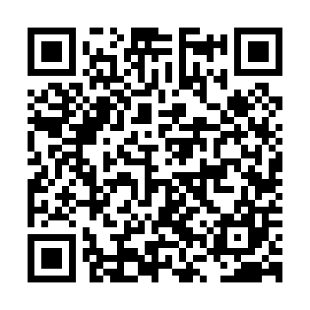 QR code for LVV007