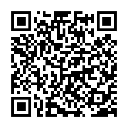 QR code for LVV419