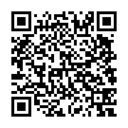 QR code for LVV438