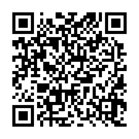 QR code for LWO336