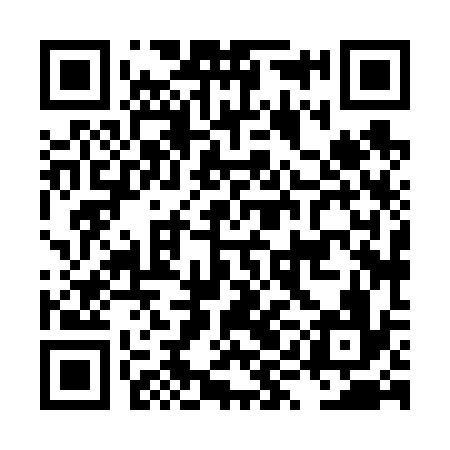 QR code for LYH636