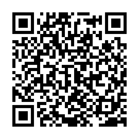 QR code for LYI311