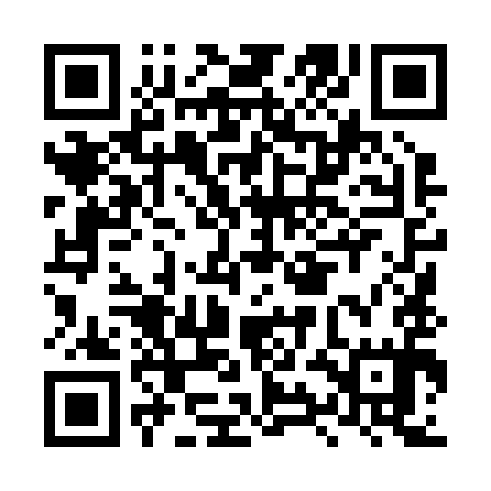 QR code for LYL295