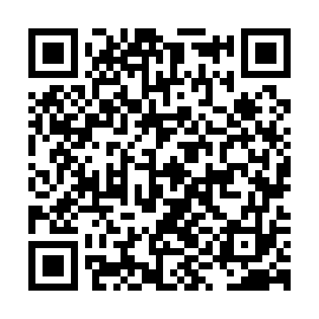 QR code for LYN173