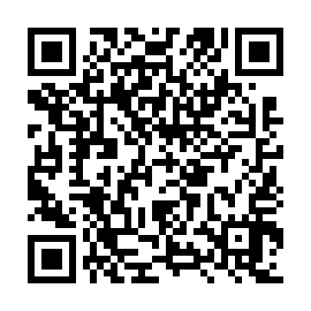 QR code for LYN617