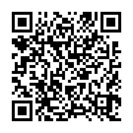 QR code for LYN663