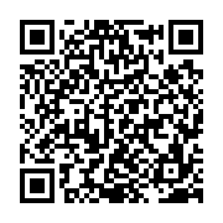 QR code for LYN736