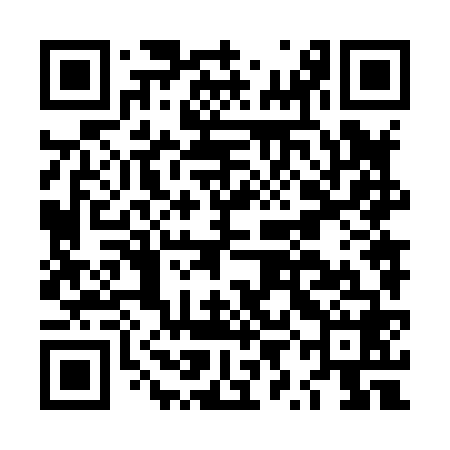 QR code for LYN868