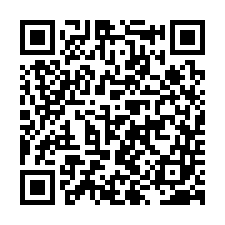 QR code for LYS343