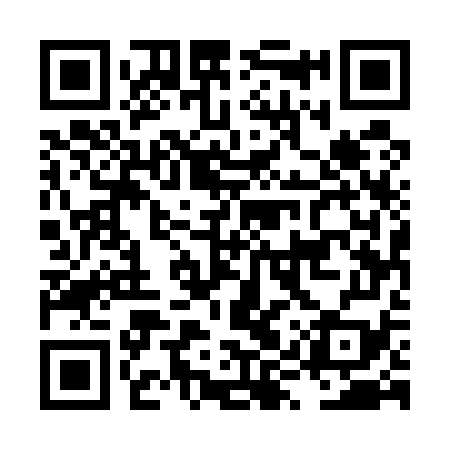 QR code for LYU579