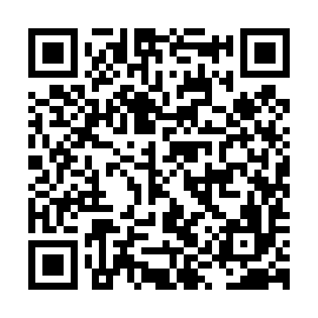 QR code for LYY496