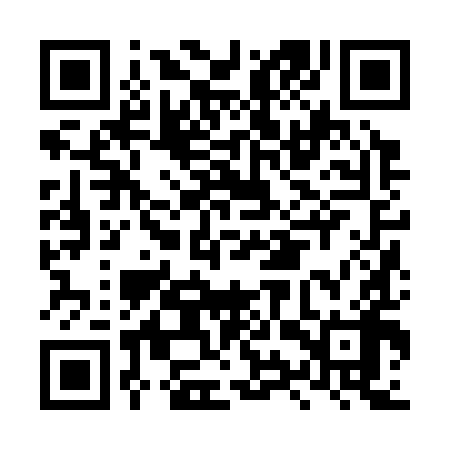 QR code for LYZ398