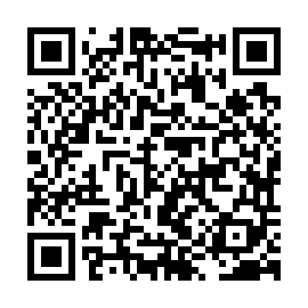 QR code for LYZ749
