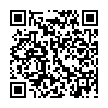 QR code for LZA313