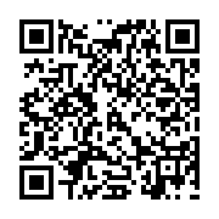 QR code for LZD317