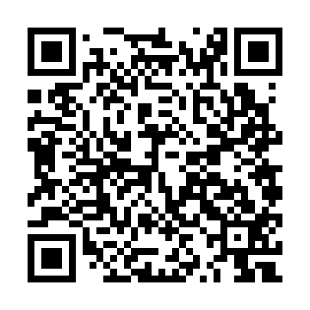 QR code for LZF313