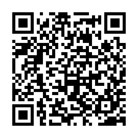 QR code for LZG384