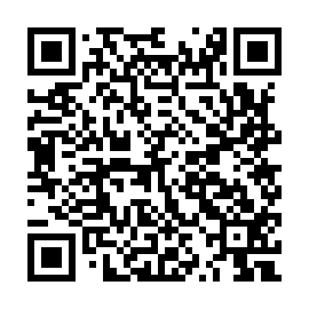 QR code for LZG913