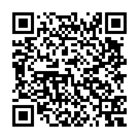 QR code for LZI431