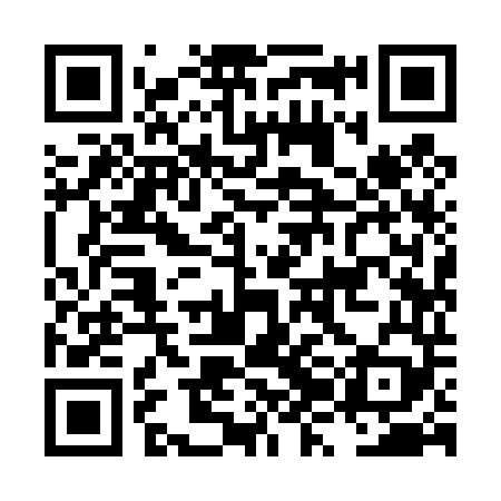QR code for LZI449