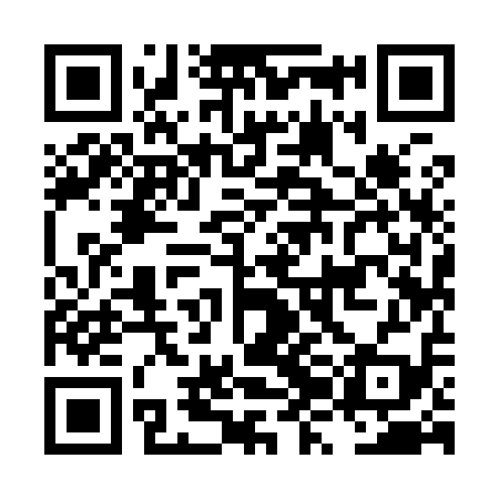 QR code for LZI919