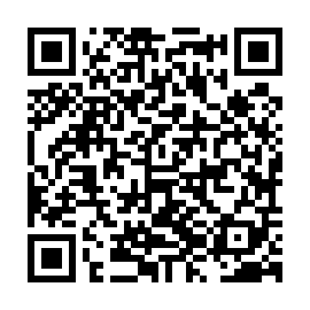 QR code for LZJ509