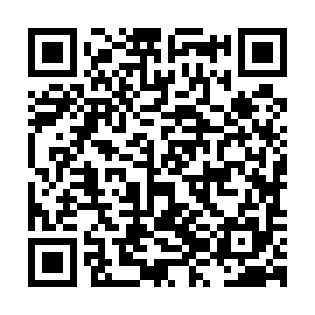 QR code for LZJ595