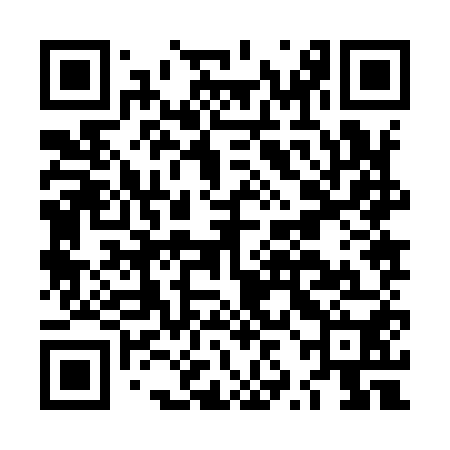 QR code for LZJ950