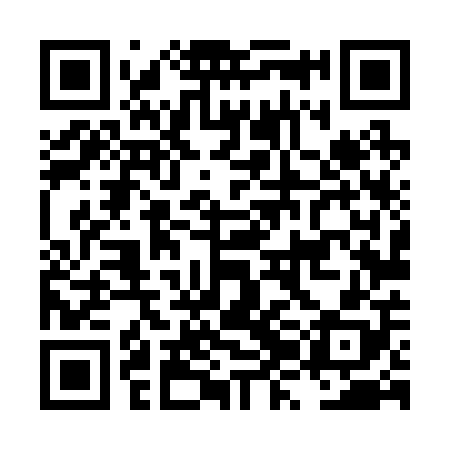 QR code for LZL208