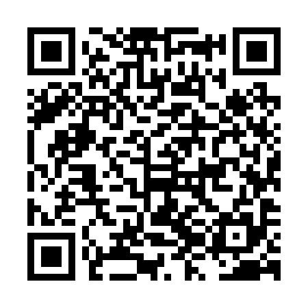 QR code for LZM295