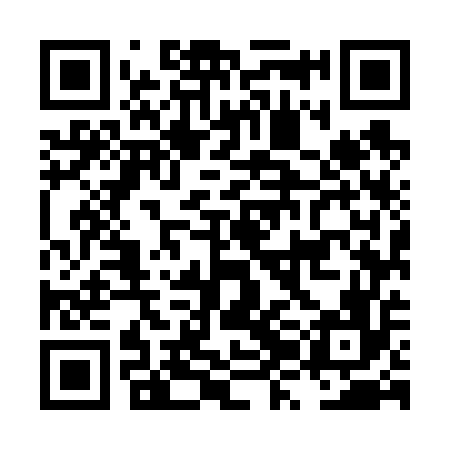 QR code for LZM656