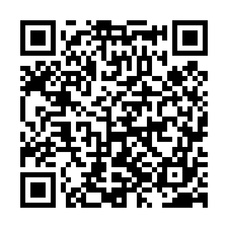 QR code for LZN477