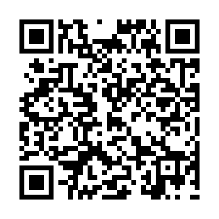 QR code for LZN968