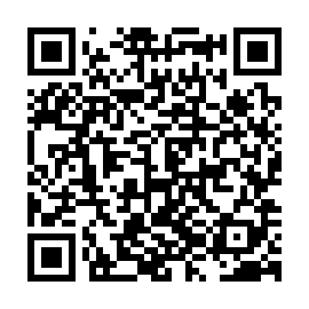 QR code for LZO389