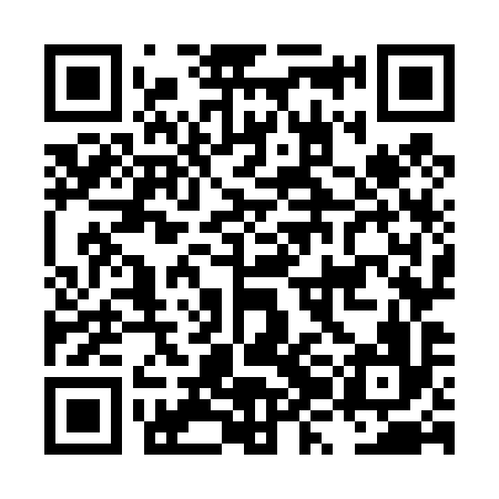 QR code for LZO496