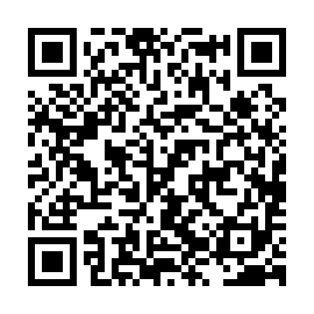 QR code for LZP191