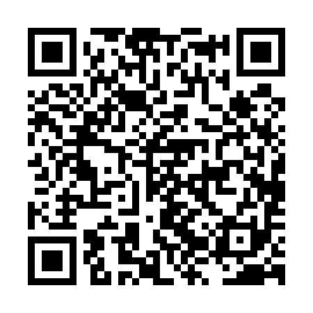 QR code for LZP591