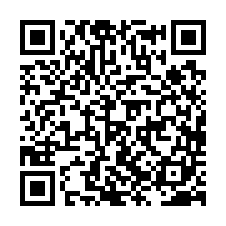 QR code for LZP741