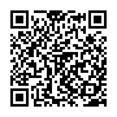 QR code for LZQ989