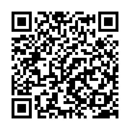 QR code for LZR838