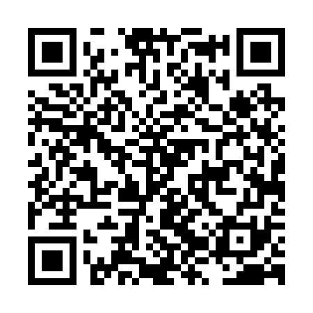 QR code for LZT271